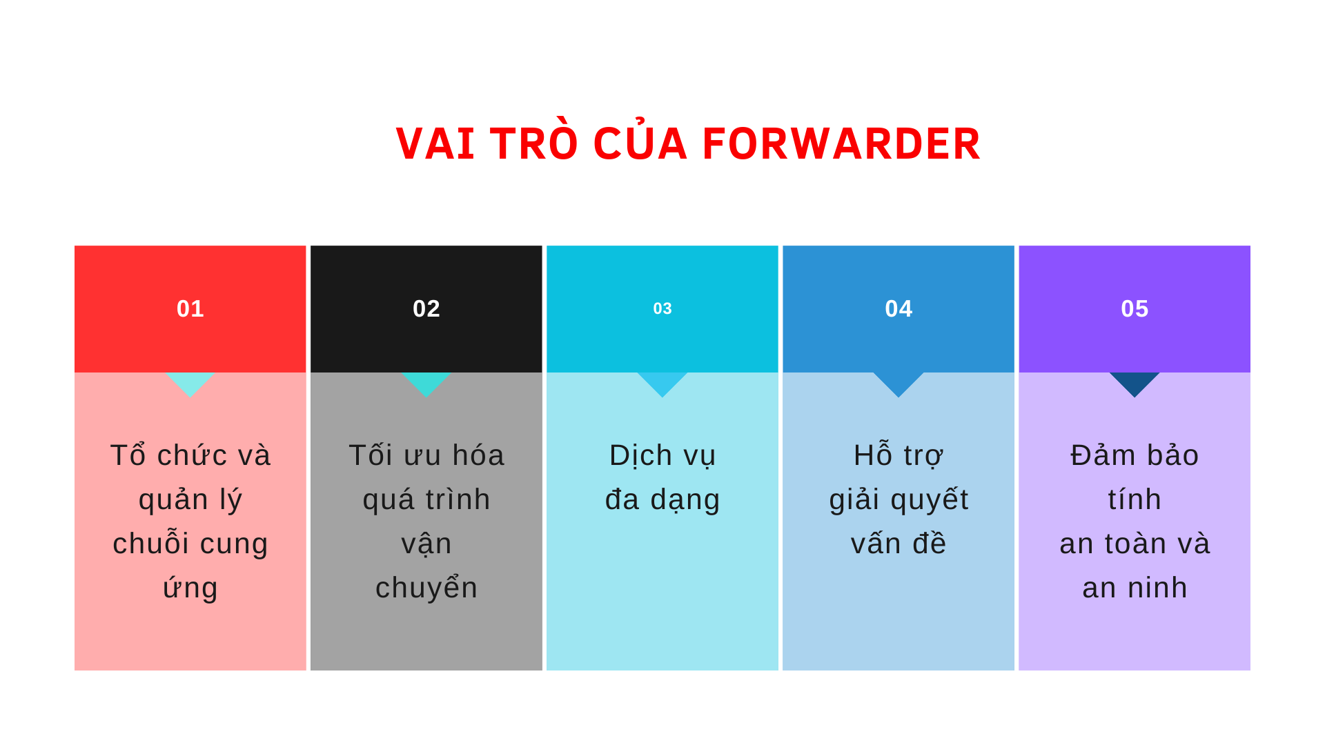 Vai-tro-cua-Forwarder