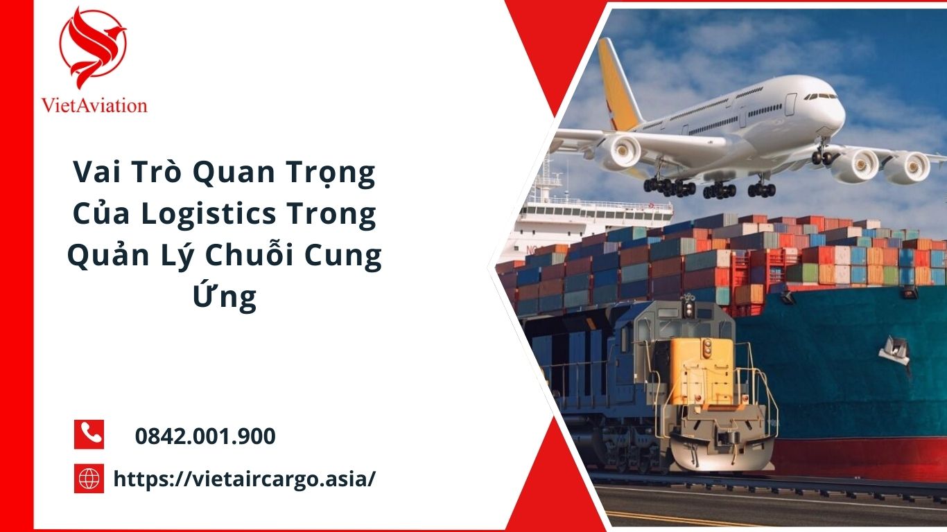 Vai Trò Quan Trọng Của Logistics Trong Quản Lý Chuỗi Cung Ứng