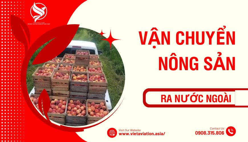 Vận chuyển nông sản ra nước ngoài