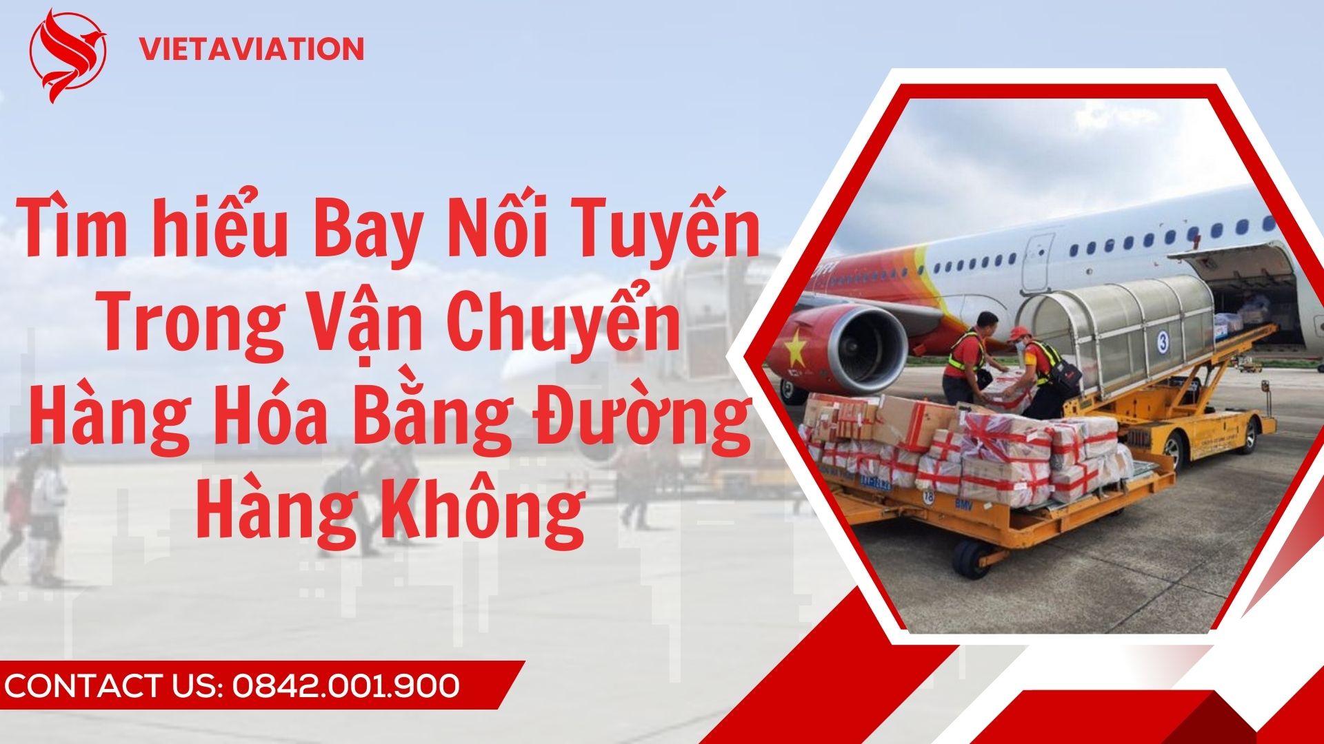 Tìm hiểu Bay Nối Tuyến Trong Vận Chuyển Hàng Hóa Bằng Đường Hàng Không