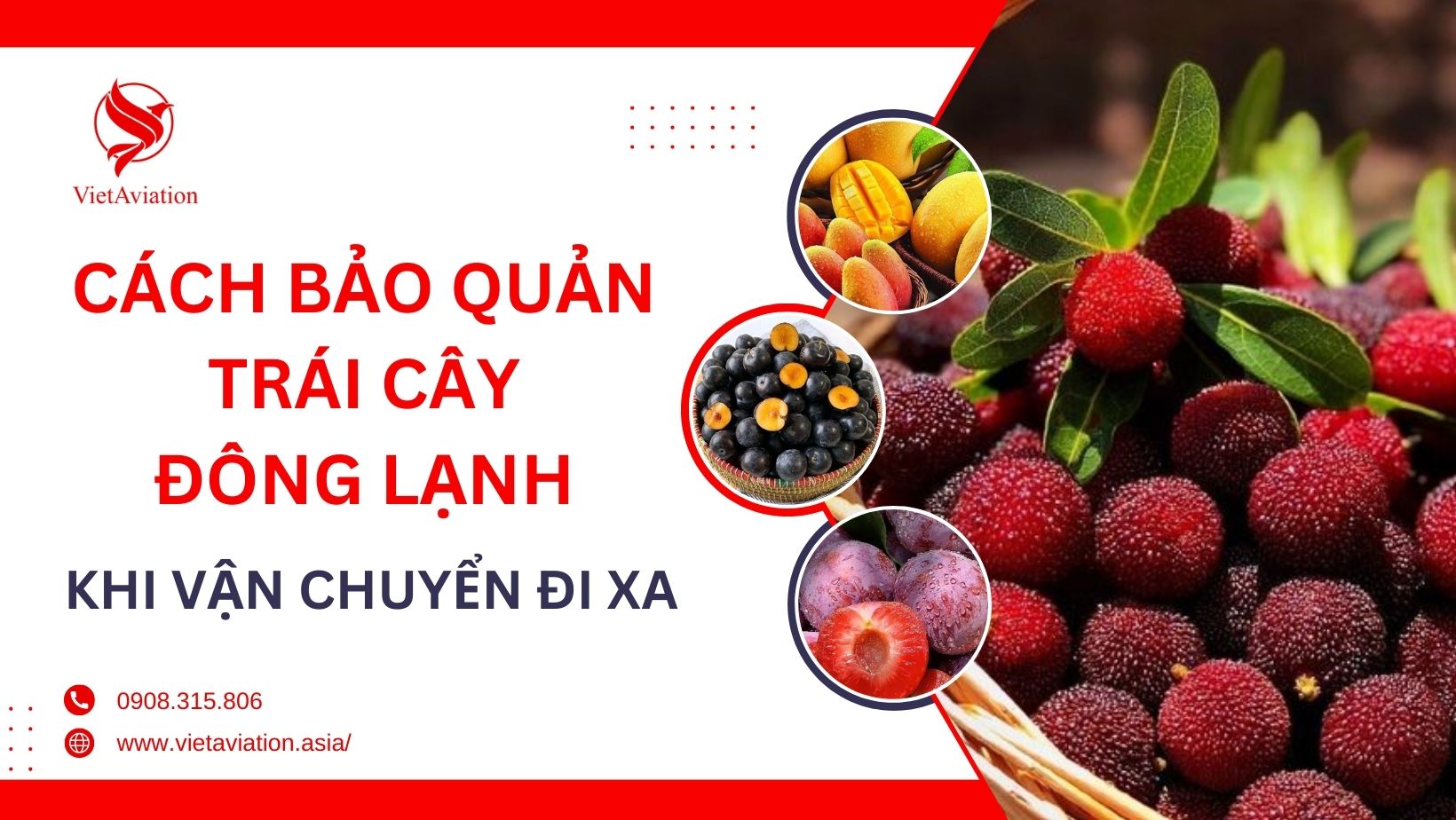 Cách bảo quản trái cây đông lạnh khi vận chuyển đi xa