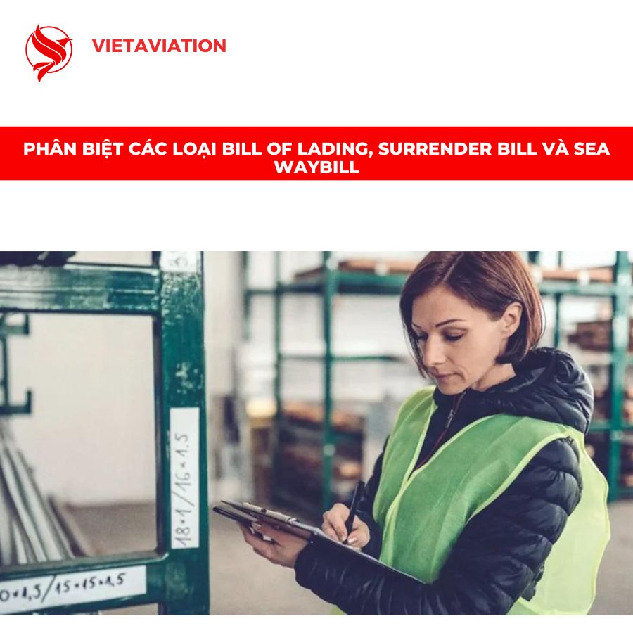 Phân biệt các loại Bill of Lading, Surrender Bill và Sea Waybill