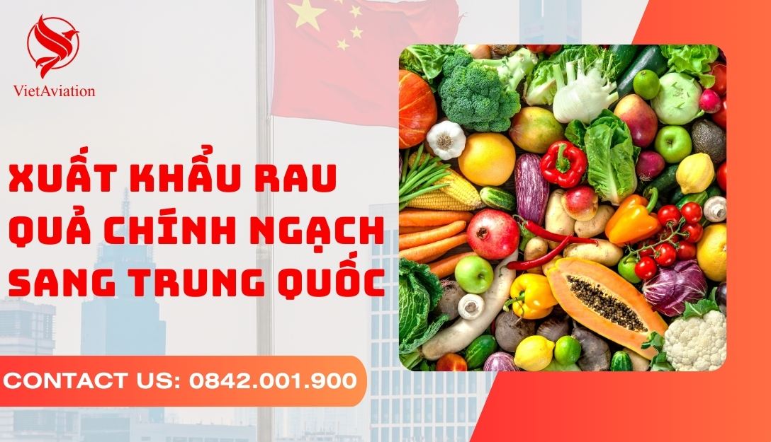 Xuất khẩu rau quả chính ngạch sang Trung Quốc