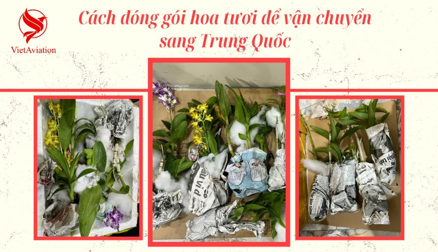 Cách đóng gói hoa tươi để vận chuyển sang Trung Quốc