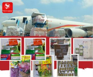 Vận chuyển thực phẩm và thuốc đi Trung Quốc giá rẻ cùng VietAviation