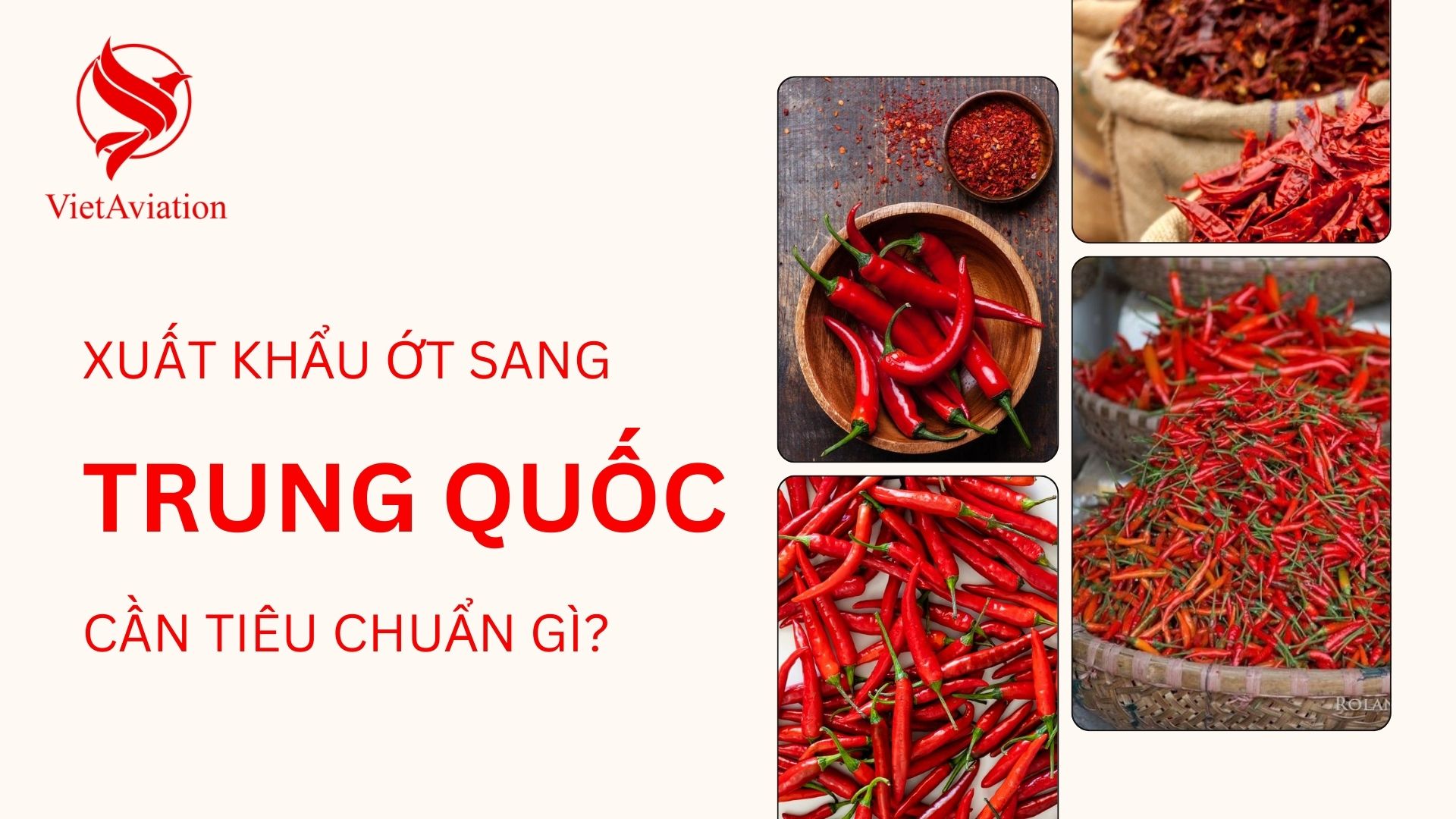 Xuất khẩu ớt sang Trung Quốc cần tiêu chuẩn gì