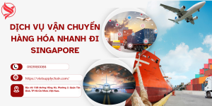 Dịch Vụ Vận Chuyển Hàng Hóa Nhanh Đi Singapore