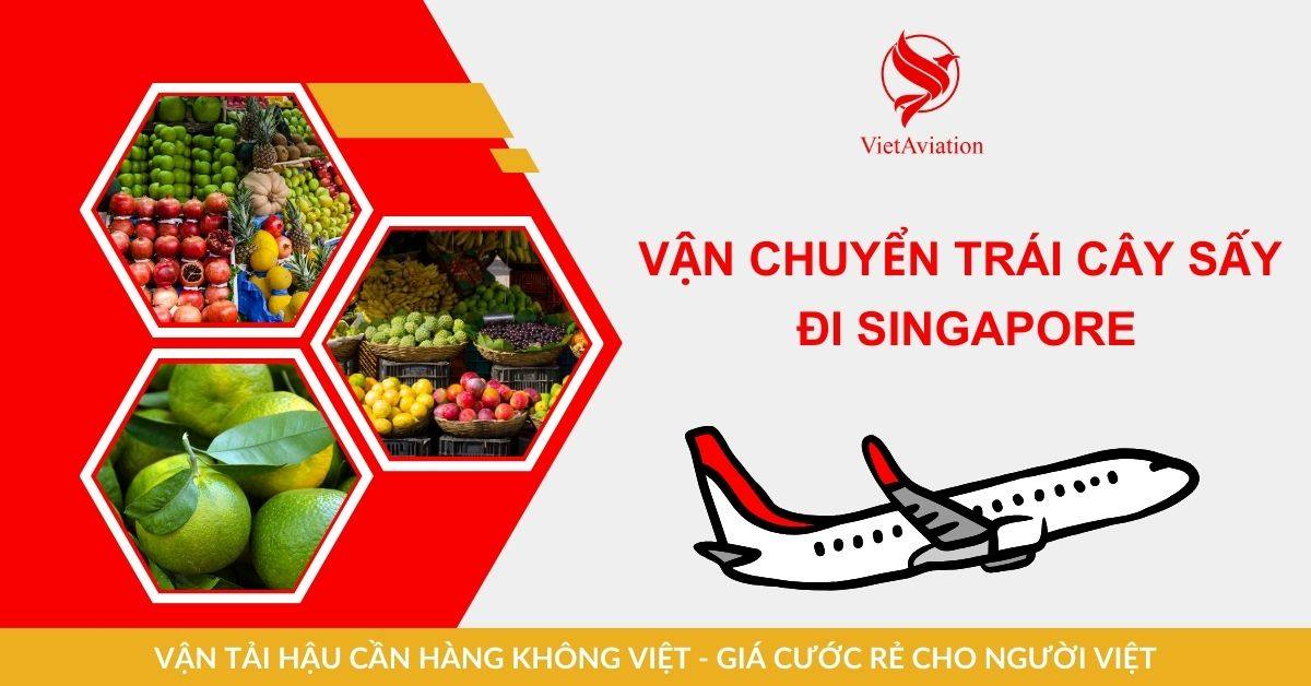 Vận chuyển trái cây sấy đi Singapore