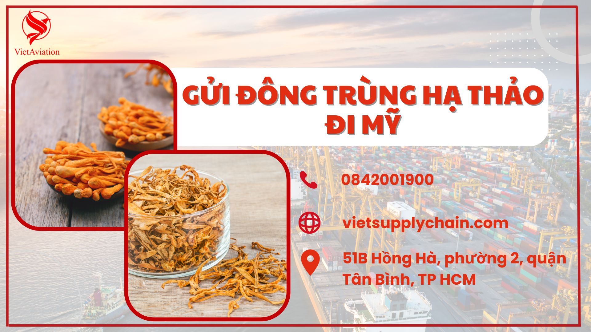 Hướng dẫn chi tiết gửi đông trùng hạ thảo đi Mỹ