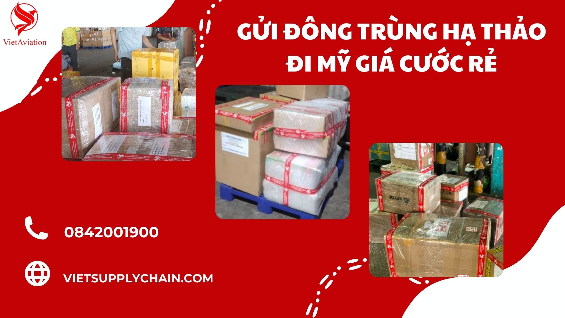 Hướng dẫn chi tiết gửi đông trùng hạ thảo đi Mỹ