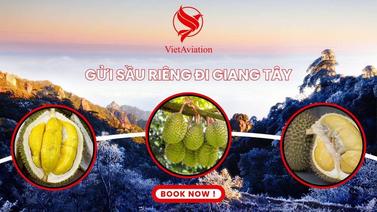 Gửi sầu riêng đi Giang Tây