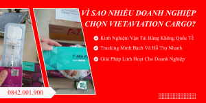 Gửi Hàng Hỏa Tốc Từ Hà Nội Đi Trung Quốc