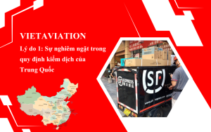 Gửi hàng đi trung quốc