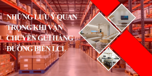 Vận Chuyển Gửi Hàng Đường Biển LCL